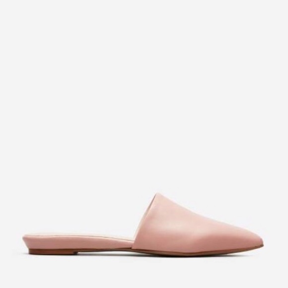Everlane Shoes - Everlane The Pointed Slide